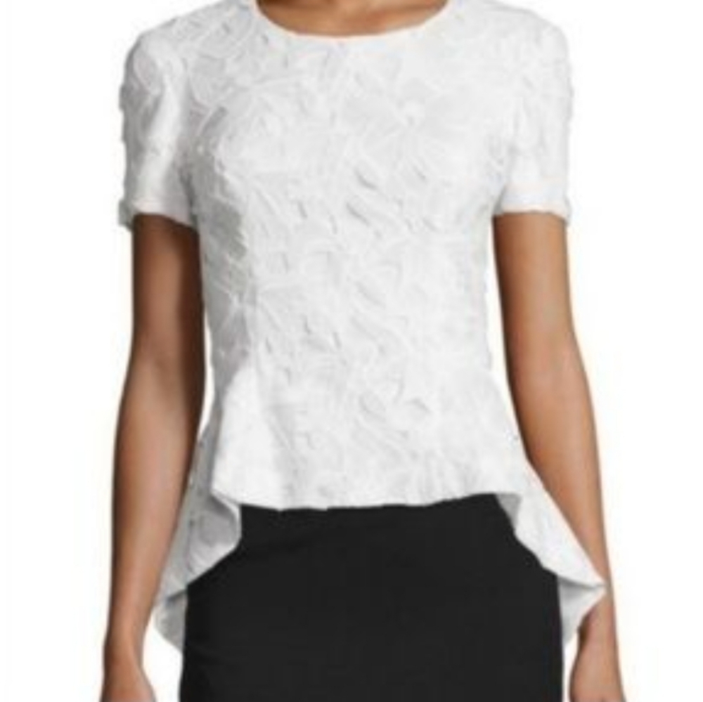 SB by Sachin & Babi Peplum Arched Lace Top Luxury Castlecore Spring Summer